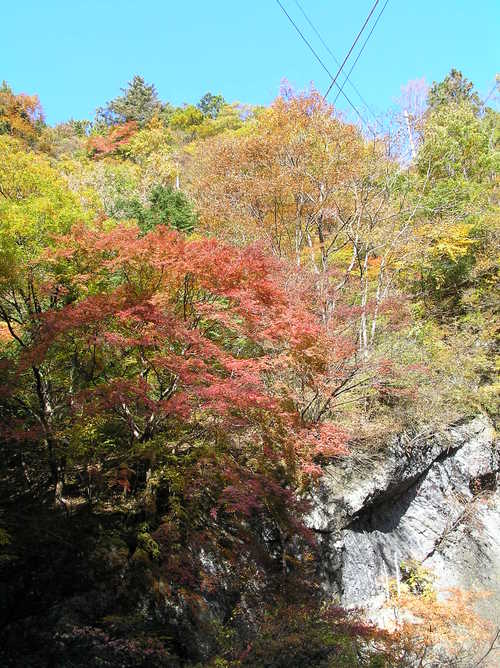 20051119_oyanagawatrip_022